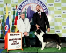 Zeus - Melhor da Raça Border Collie
