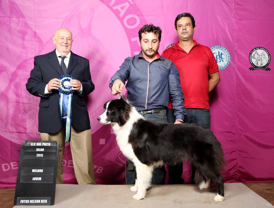 Border Aller Steel Motion (Maya)