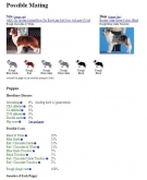Possibilidade de Cores, Inbreeding 6%.
